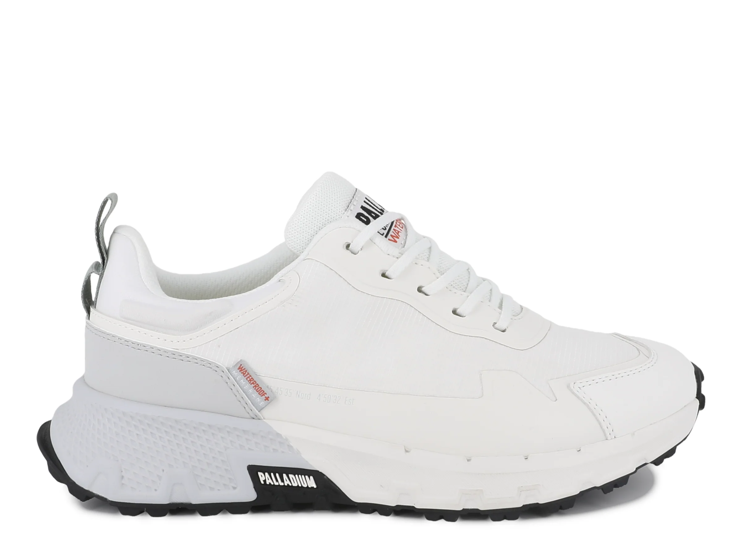 NOT IN COLLAB ICONIC NEW